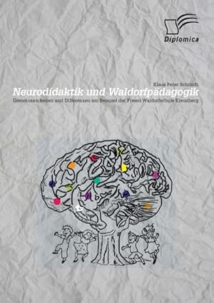 Immagine del venditore per Neurodidaktik und Waldorfpdagogik: Gemeinsamkeiten und Differenzen am Beispiel der Freien Waldorfschule Kreuzberg venduto da BuchWeltWeit Ludwig Meier e.K.