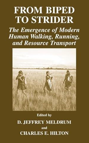 Imagen del vendedor de From Biped to Strider a la venta por BuchWeltWeit Ludwig Meier e.K.