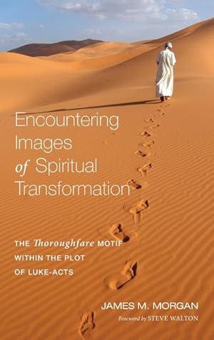 Bild des Verkufers fr Encountering Images of Spiritual Transformation zum Verkauf von BuchWeltWeit Ludwig Meier e.K.