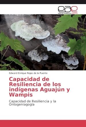 Imagen del vendedor de Capacidad de Resiliencia de los indgenas Aguajn y Wampis a la venta por BuchWeltWeit Ludwig Meier e.K.