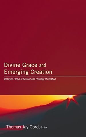 Bild des Verkufers fr Divine Grace and Emerging Creation zum Verkauf von BuchWeltWeit Ludwig Meier e.K.