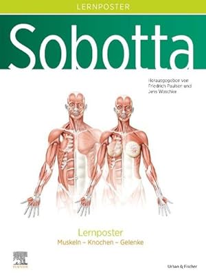 Immagine del venditore per Sobotta Lernposter Anatomie venduto da BuchWeltWeit Ludwig Meier e.K.