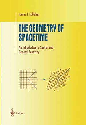 Seller image for The Geometry of Spacetime for sale by BuchWeltWeit Ludwig Meier e.K.