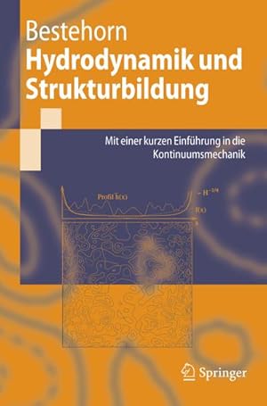 Seller image for Hydrodynamik und Strukturbildung for sale by BuchWeltWeit Ludwig Meier e.K.