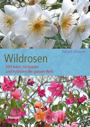 Bild des Verkufers fr Wildrosen zum Verkauf von BuchWeltWeit Ludwig Meier e.K.