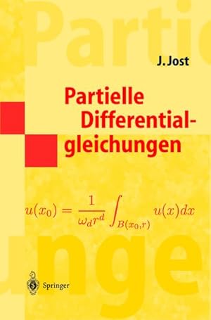 Immagine del venditore per Partielle Differentialgleichungen venduto da BuchWeltWeit Ludwig Meier e.K.