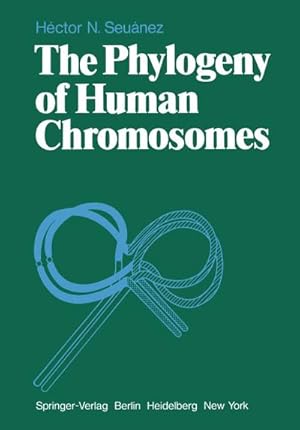 Seller image for The Phylogeny of Human Chromosomes for sale by BuchWeltWeit Ludwig Meier e.K.