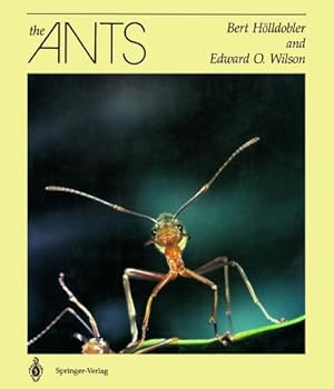 Seller image for The Ants for sale by BuchWeltWeit Ludwig Meier e.K.