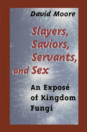 Imagen del vendedor de Slayers, Saviors, Servants and Sex a la venta por BuchWeltWeit Ludwig Meier e.K.