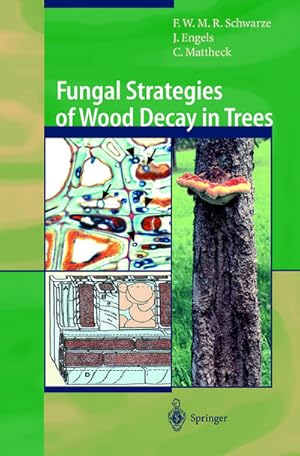 Seller image for Fungal Strategies of Wood Decay in Trees for sale by BuchWeltWeit Ludwig Meier e.K.