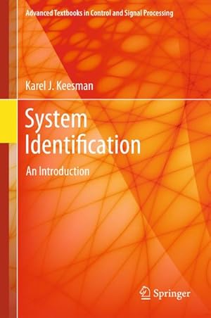 Seller image for System Identification for sale by BuchWeltWeit Ludwig Meier e.K.