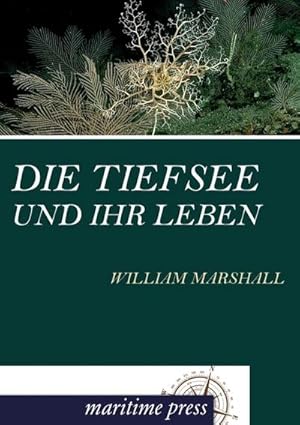 Imagen del vendedor de Die Tiefsee und ihr Leben a la venta por BuchWeltWeit Ludwig Meier e.K.