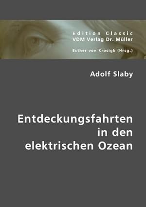 Imagen del vendedor de Entdeckungsfahrten in den elektrischen Ozean a la venta por BuchWeltWeit Ludwig Meier e.K.