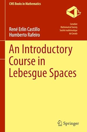 Bild des Verkufers fr An Introductory Course in Lebesgue Spaces zum Verkauf von BuchWeltWeit Ludwig Meier e.K.
