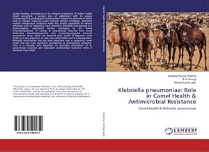 Seller image for Klebsiella pneumoniae: Role in Camel Health & Antimicrobial Resistance for sale by BuchWeltWeit Ludwig Meier e.K.