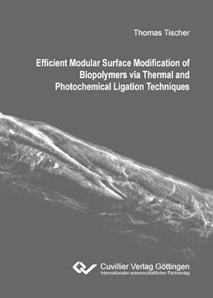 Seller image for Efficient Modular Surface Modification of Biopolymers via Thermal and Photochemical Ligation Techniques for sale by BuchWeltWeit Ludwig Meier e.K.