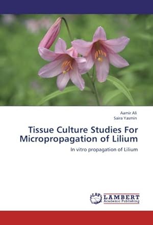 Seller image for Tissue Culture Studies For Micropropagation of Lilium for sale by BuchWeltWeit Ludwig Meier e.K.