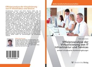 Bild des Verkufers fr Effizienzanalyse der Virtualisierung von IT Infrastruktur und Services zum Verkauf von BuchWeltWeit Ludwig Meier e.K.