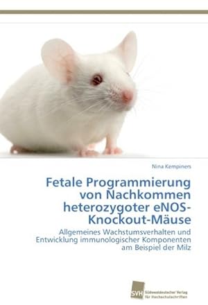 Seller image for Fetale Programmierung von Nachkommen heterozygoter eNOS-Knockout-Muse for sale by BuchWeltWeit Ludwig Meier e.K.