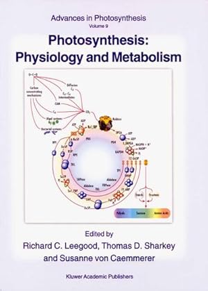 Seller image for Photosynthesis: Physiology and Metabolism for sale by BuchWeltWeit Ludwig Meier e.K.