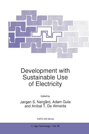 Seller image for Development with Sustainable Use of Electricity for sale by BuchWeltWeit Ludwig Meier e.K.