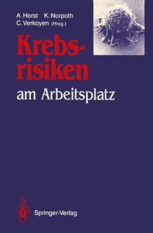 Image du vendeur pour Krebsrisiken am Arbeitsplatz mis en vente par BuchWeltWeit Ludwig Meier e.K.