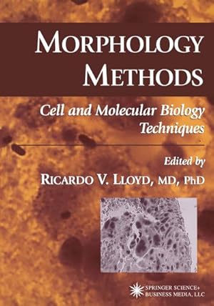 Imagen del vendedor de Morphology Methods a la venta por BuchWeltWeit Ludwig Meier e.K.