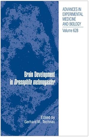 Seller image for Brain Development in Drosophila melanogaster for sale by BuchWeltWeit Ludwig Meier e.K.