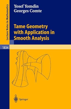 Imagen del vendedor de Tame Geometry with Application in Smooth Analysis a la venta por BuchWeltWeit Ludwig Meier e.K.