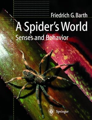 Immagine del venditore per A Spiders World venduto da BuchWeltWeit Ludwig Meier e.K.