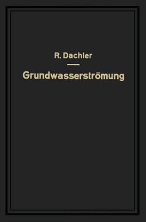 Seller image for Grundwasserstrmung for sale by BuchWeltWeit Ludwig Meier e.K.