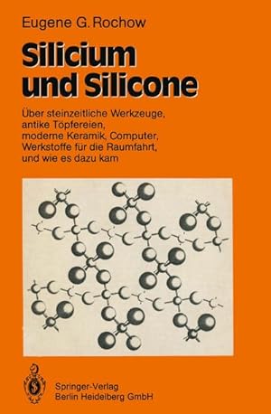 Immagine del venditore per Silicium und Silicone venduto da BuchWeltWeit Ludwig Meier e.K.