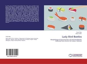 Seller image for Lady Bird Beetles for sale by BuchWeltWeit Ludwig Meier e.K.