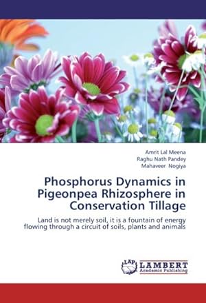 Seller image for Phosphorus Dynamics in Pigeonpea Rhizosphere in Conservation Tillage for sale by BuchWeltWeit Ludwig Meier e.K.