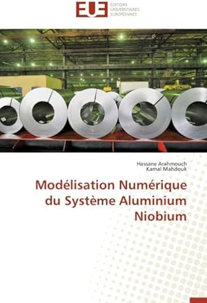 Imagen del vendedor de Modlisation Numrique du Systme Aluminium Niobium a la venta por BuchWeltWeit Ludwig Meier e.K.