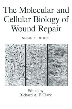 Seller image for The Molecular and Cellular Biology of Wound Repair for sale by BuchWeltWeit Ludwig Meier e.K.