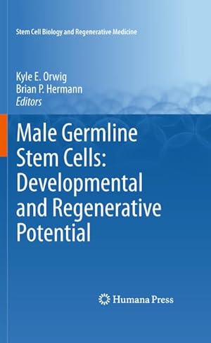 Imagen del vendedor de Male Germline Stem Cells: Developmental and Regenerative Potential a la venta por BuchWeltWeit Ludwig Meier e.K.