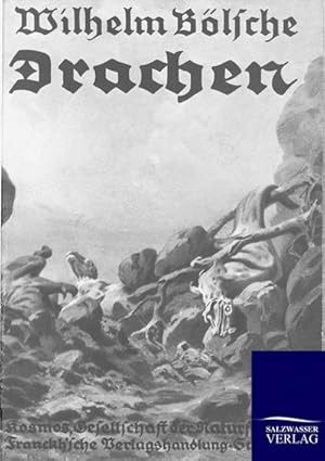 Seller image for Drachen for sale by BuchWeltWeit Ludwig Meier e.K.