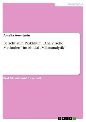 Imagen del vendedor de Bericht zum Praktikum Analytische Methoden im Modul Mikroanalytik a la venta por BuchWeltWeit Ludwig Meier e.K.