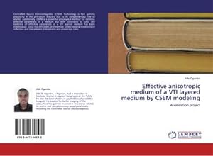 Imagen del vendedor de Effective anisotropic medium of a VTI layered medium by CSEM modeling a la venta por BuchWeltWeit Ludwig Meier e.K.
