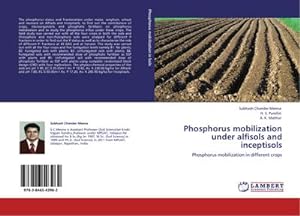 Imagen del vendedor de Phosphorus mobilization under alfisols and inceptisols a la venta por BuchWeltWeit Ludwig Meier e.K.