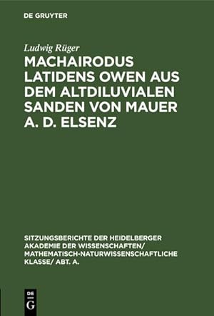 Imagen del vendedor de Machairodus latidens Owen aus dem altdiluvialen Sanden von Mauer a. d. Elsenz a la venta por BuchWeltWeit Ludwig Meier e.K.