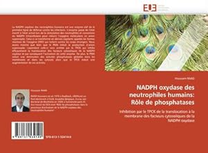Image du vendeur pour NADPH oxydase des neutrophiles humains: Rle de phosphatases mis en vente par BuchWeltWeit Ludwig Meier e.K.