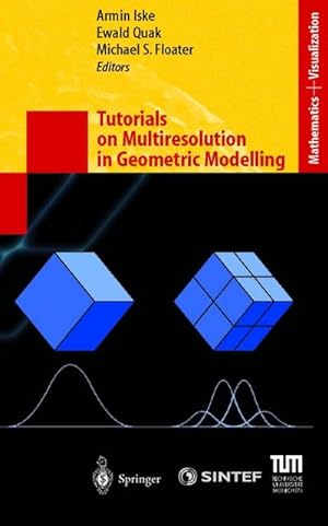 Bild des Verkufers fr Tutorials on Multiresolution in Geometric Modelling zum Verkauf von BuchWeltWeit Ludwig Meier e.K.