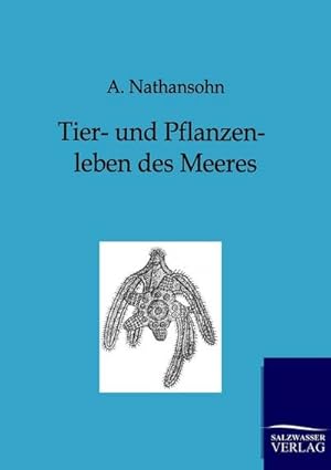 Seller image for Tier- und Pflanzenleben des Meeres for sale by BuchWeltWeit Ludwig Meier e.K.