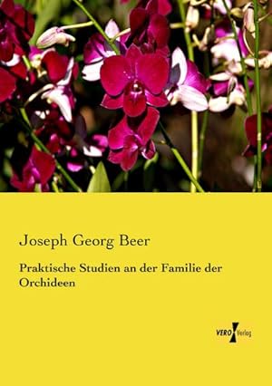 Image du vendeur pour Praktische Studien an der Familie der Orchideen mis en vente par BuchWeltWeit Ludwig Meier e.K.