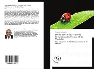 Seller image for Sur la Beta-Rduction de Filtrations d'Anneaux et de Modules for sale by BuchWeltWeit Ludwig Meier e.K.