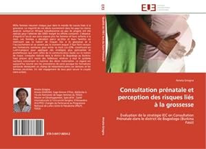 Image du vendeur pour Consultation prnatale et perception des risques lis  la grossesse mis en vente par BuchWeltWeit Ludwig Meier e.K.