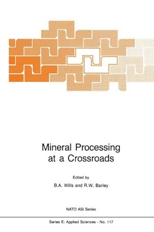 Imagen del vendedor de Mineral Processing at a Crossroads a la venta por BuchWeltWeit Ludwig Meier e.K.