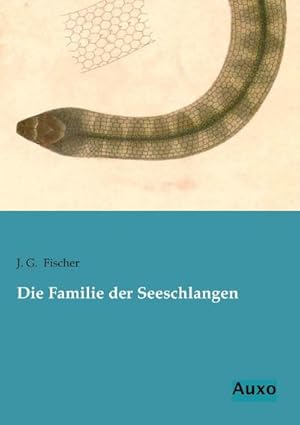 Bild des Verkufers fr Die Familie der Seeschlangen zum Verkauf von BuchWeltWeit Ludwig Meier e.K.